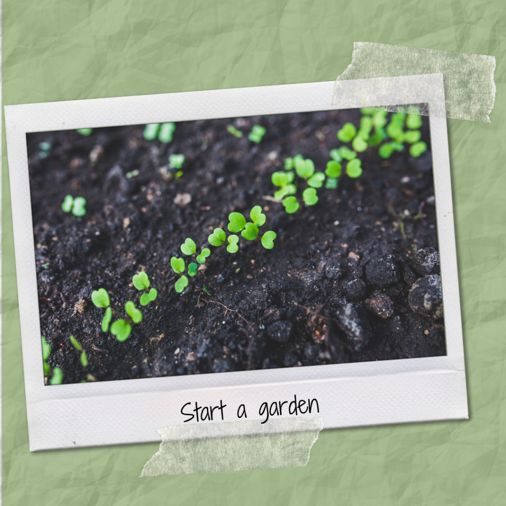 Start a garden